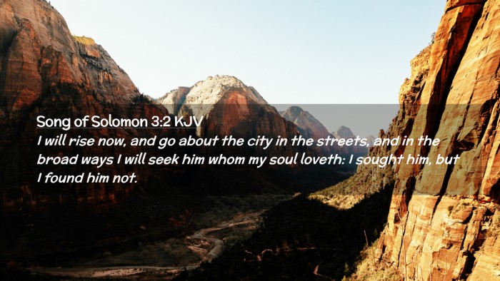 Picture 02 - Song of Solomon 3:2 KJV Desktop Wallpaper - I will rise now, and go about the city in the - Desktop Bible Verse Wallpaper