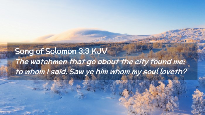 Picture 02 - Song of Solomon 3:3 KJV Desktop Wallpaper - The watchmen that go about the city found me: to - Desktop Bible Verse Wallpaper