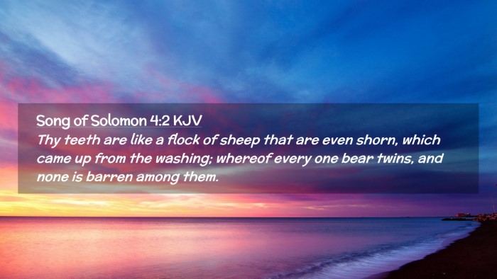Picture 02 - Song of Solomon 4:2 KJV Desktop Wallpaper - Thy teeth are like a flock of sheep that are even - Desktop Bible Verse Wallpaper