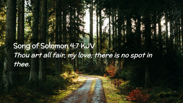 Picture 02 - Song of Solomon 4:7 KJV Desktop Wallpaper - Thou art all fair, my love; there is no spot in - Desktop Bible Verse Wallpaper