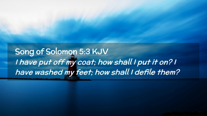 Picture 02 - Song of Solomon 5:3 KJV Desktop Wallpaper - I have put off my coat; how shall I put it on? I - Desktop Bible Verse Wallpaper