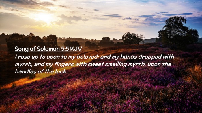 Picture 02 - Song of Solomon 5:5 KJV Desktop Wallpaper - I rose up to open to my beloved; and my hands - Desktop Bible Verse Wallpaper