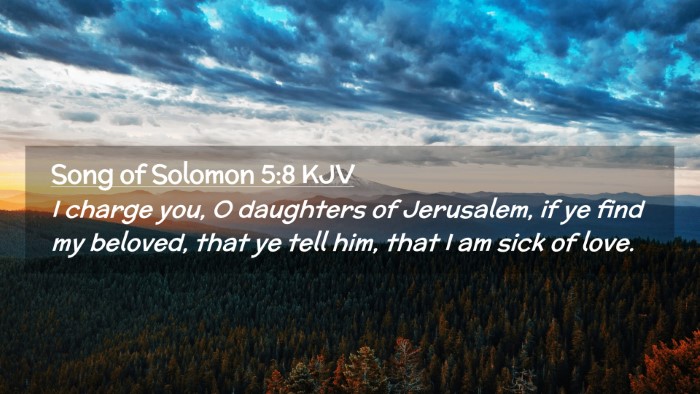 Picture 02 - Song of Solomon 5:8 KJV Desktop Wallpaper - I charge you, O daughters of Jerusalem, if ye - Desktop Bible Verse Wallpaper