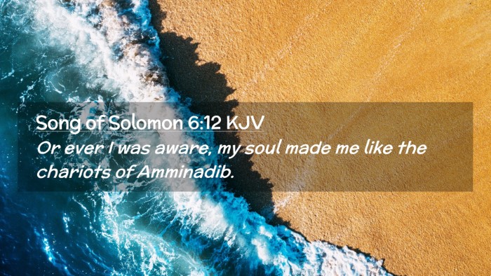 Picture 02 - Song of Solomon 6:12 KJV Desktop Wallpaper - Or ever I was aware, my soul made me like the - Desktop Bible Verse Wallpaper