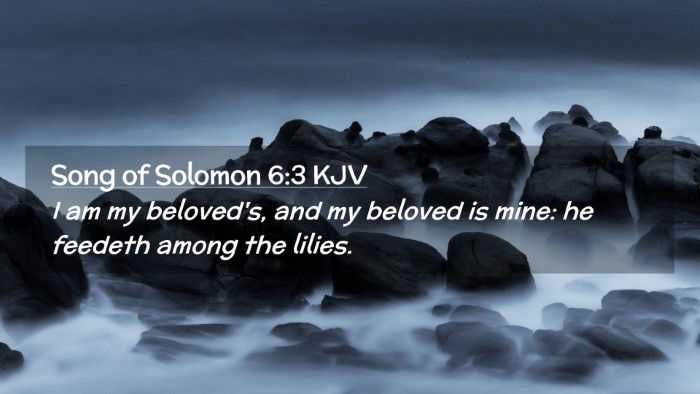 Picture 02 - Song of Solomon 6:3 KJV Desktop Wallpaper - I am my beloved's, and my beloved is mine: he - Desktop Bible Verse Wallpaper