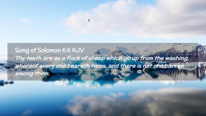 Picture 02 - Song of Solomon 6:6 KJV Desktop Wallpaper - Thy teeth are as a flock of sheep which go up - Desktop Bible Verse Wallpaper