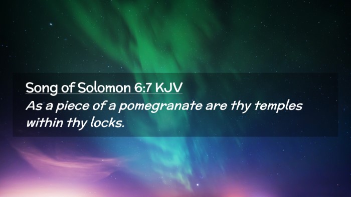 Picture 02 - Song of Solomon 6:7 KJV Desktop Wallpaper - As a piece of a pomegranate are thy temples - Desktop Bible Verse Wallpaper