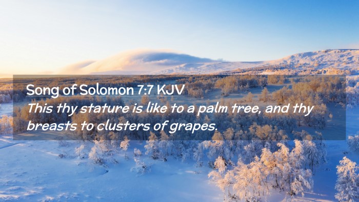 Picture 02 - Song of Solomon 7:7 KJV Desktop Wallpaper - This thy stature is like to a palm tree, and thy - Desktop Bible Verse Wallpaper