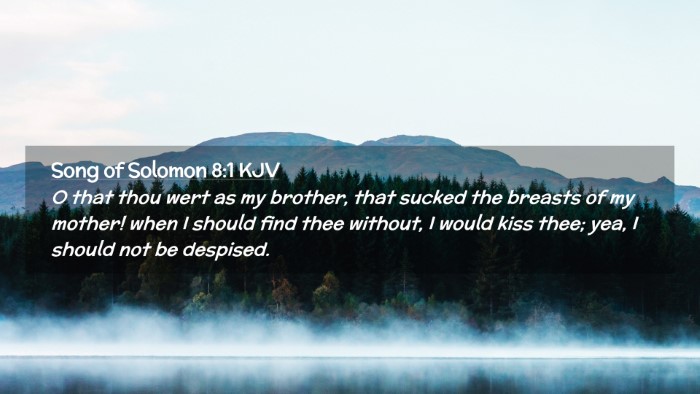 Picture 02 - Song of Solomon 8:1 KJV Desktop Wallpaper - O that thou wert as my brother, that sucked the - Desktop Bible Verse Wallpaper