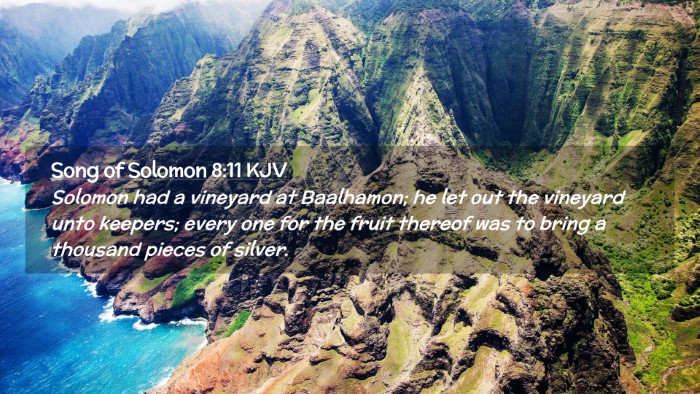 Picture 02 - Song of Solomon 8:11 KJV Desktop Wallpaper - Solomon had a vineyard at Baalhamon; he let out - Desktop Bible Verse Wallpaper