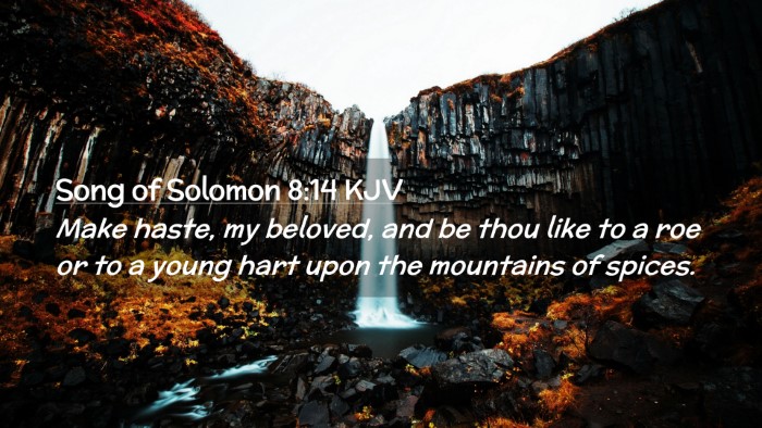 Picture 02 - Song of Solomon 8:14 KJV Desktop Wallpaper - Make haste, my beloved, and be thou like to a roe - Desktop Bible Verse Wallpaper