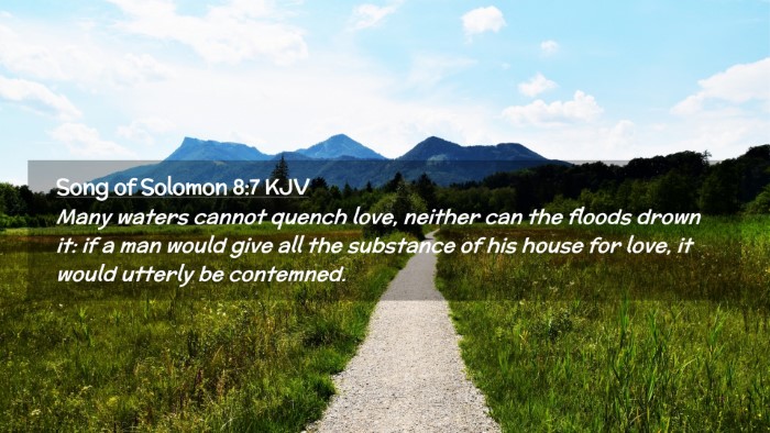 Picture 02 - Song of Solomon 8:7 KJV Desktop Wallpaper - Many waters cannot quench love, neither can the - Desktop Bible Verse Wallpaper