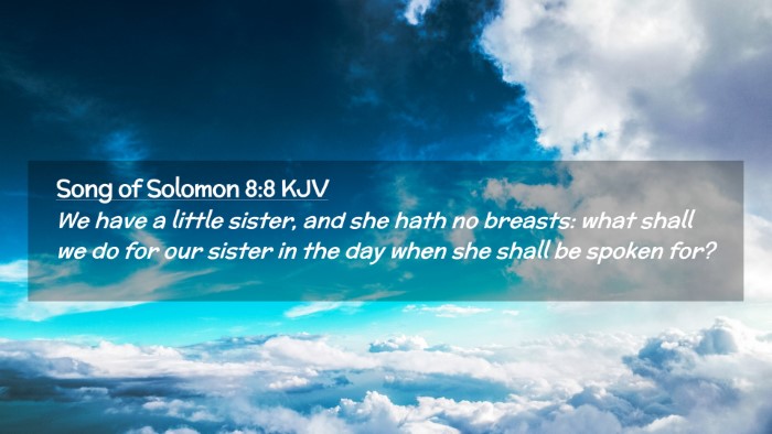 Picture 02 - Song of Solomon 8:8 KJV Desktop Wallpaper - We have a little sister, and she hath no breasts: - Desktop Bible Verse Wallpaper