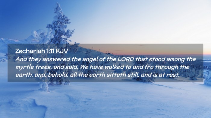 Picture 02 - Zechariah 1:11 KJV Desktop Wallpaper - And they answered the angel of the LORD that - Desktop Bible Verse Wallpaper
