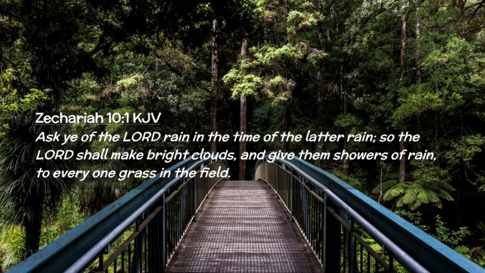 Picture 02 - Zechariah 10:1 KJV Desktop Wallpaper - Ask ye of the LORD rain in the time of the latter - Desktop Bible Verse Wallpaper
