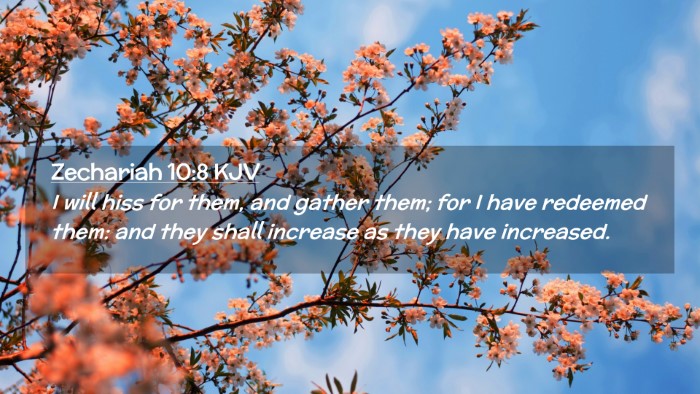 Picture 02 - Zechariah 10:8 KJV Desktop Wallpaper - I will hiss for them, and gather them; for I have - Desktop Bible Verse Wallpaper