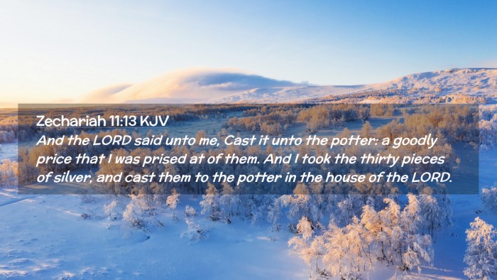 Picture 02 - Zechariah 11:13 KJV Desktop Wallpaper - And the LORD said unto me, Cast it unto the - Desktop Bible Verse Wallpaper