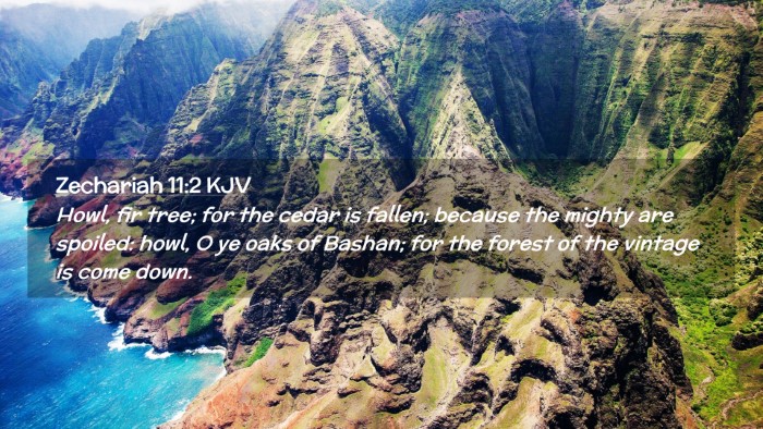 Picture 02 - Zechariah 11:2 KJV Desktop Wallpaper - Howl, fir tree; for the cedar is fallen; because - Desktop Bible Verse Wallpaper