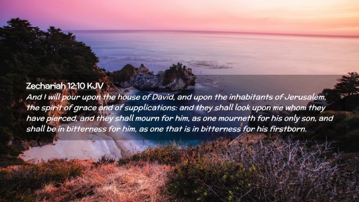 Picture 02 - Zechariah 12:10 KJV Desktop Wallpaper - And I will pour upon the house of David, and upon - Desktop Bible Verse Wallpaper