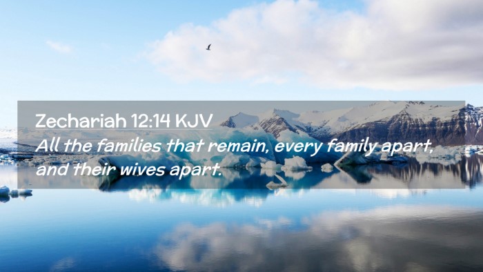 Picture 02 - Zechariah 12:14 KJV Desktop Wallpaper - All the families that remain, every family apart, - Desktop Bible Verse Wallpaper