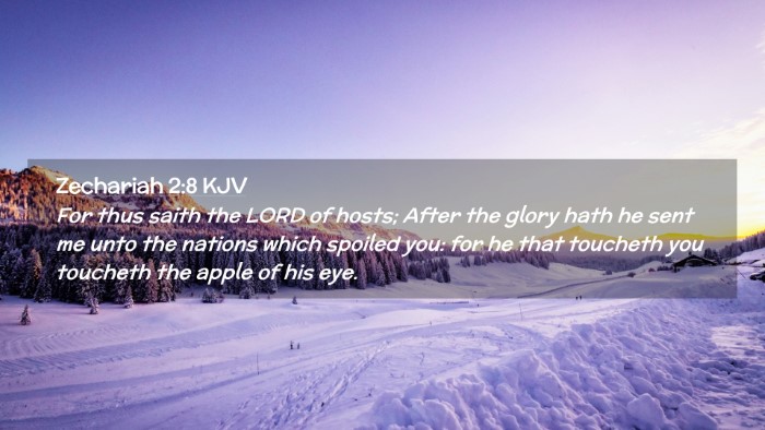 Picture 02 - Zechariah 2:8 KJV Desktop Wallpaper - For thus saith the LORD of hosts; After the glory - Desktop Bible Verse Wallpaper