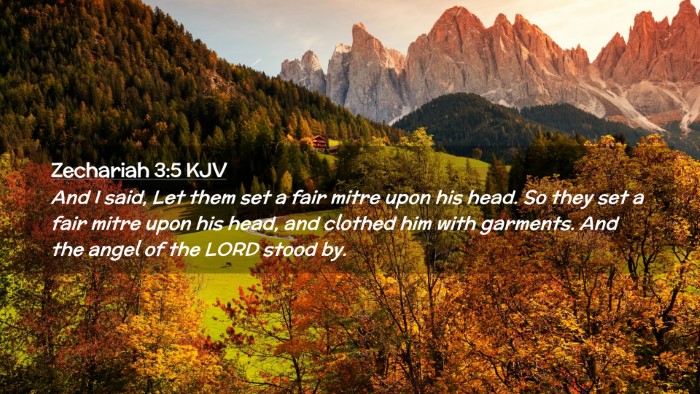 Picture 02 - Zechariah 3:5 KJV Desktop Wallpaper - And I said, Let them set a fair mitre upon his - Desktop Bible Verse Wallpaper