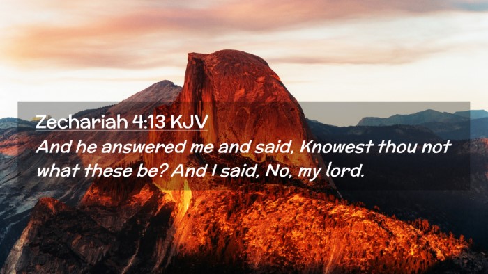 Picture 02 - Zechariah 4:13 KJV Desktop Wallpaper - And he answered me and said, Knowest thou not - Desktop Bible Verse Wallpaper