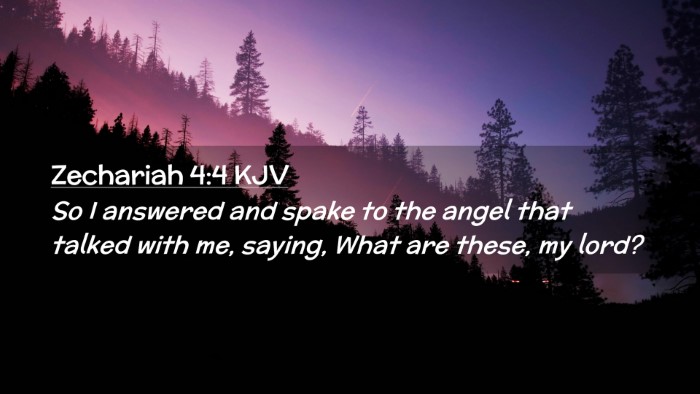 Picture 02 - Zechariah 4:4 KJV Desktop Wallpaper - So I answered and spake to the angel that talked - Desktop Bible Verse Wallpaper