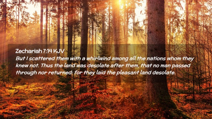 Picture 02 - Zechariah 7:14 KJV Desktop Wallpaper - But I scattered them with a whirlwind among all - Desktop Bible Verse Wallpaper