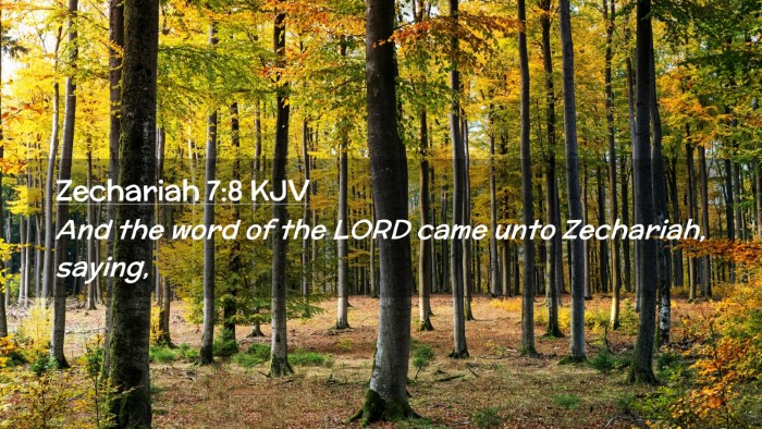 Picture 02 - Zechariah 7:8 KJV Desktop Wallpaper - And the word of the LORD came unto Zechariah, - Desktop Bible Verse Wallpaper