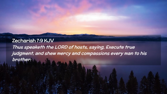 Picture 02 - Zechariah 7:9 KJV Desktop Wallpaper - Thus speaketh the LORD of hosts, saying, Execute - Desktop Bible Verse Wallpaper