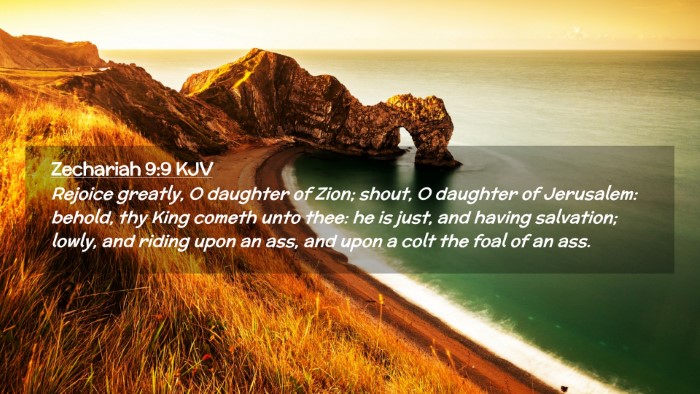 Picture 02 - Zechariah 9:9 KJV Desktop Wallpaper - Rejoice greatly, O daughter of Zion; shout, O - Desktop Bible Verse Wallpaper