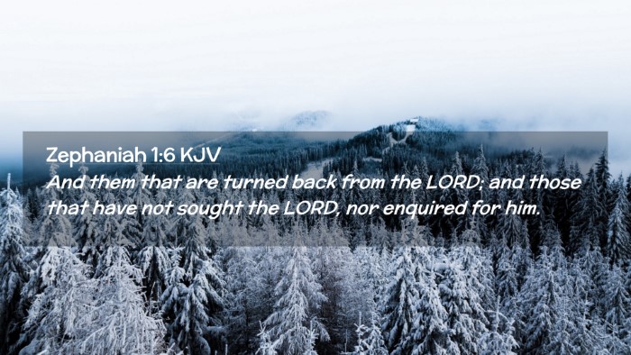 Picture 02 - Zephaniah 1:6 KJV Desktop Wallpaper - And them that are turned back from the LORD; and - Desktop Bible Verse Wallpaper