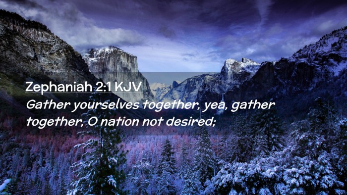 Picture 02 - Zephaniah 2:1 KJV Desktop Wallpaper - Gather yourselves together, yea, gather together, - Desktop Bible Verse Wallpaper