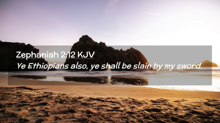Picture 02 - Zephaniah 2:12 KJV Desktop Wallpaper - Ye Ethiopians also, ye shall be slain by my - Desktop Bible Verse Wallpaper