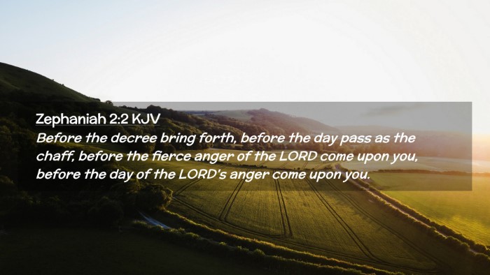 Picture 02 - Zephaniah 2:2 KJV Desktop Wallpaper - Before the decree bring forth, before the day - Desktop Bible Verse Wallpaper