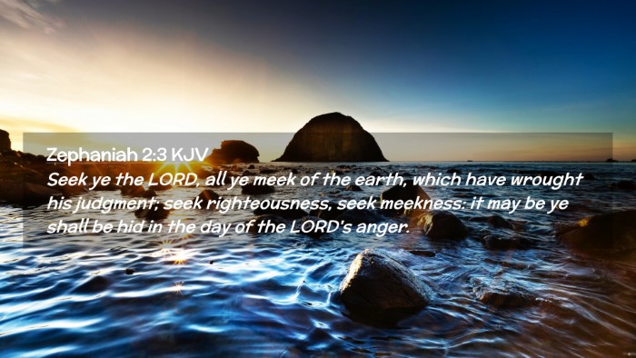 Picture 02 - Zephaniah 2:3 KJV Desktop Wallpaper - Seek ye the LORD, all ye meek of the earth, which - Desktop Bible Verse Wallpaper
