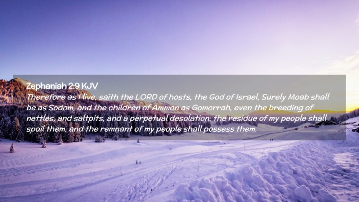 Picture 02 - Zephaniah 2:9 KJV Desktop Wallpaper - Therefore as I live, saith the LORD of hosts, the - Desktop Bible Verse Wallpaper