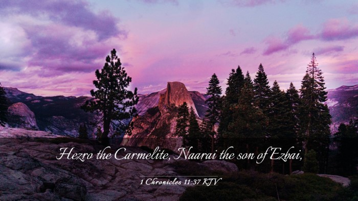 Picture 03 - 1 Chronicles 11:37 KJV Desktop Wallpaper - Hezro the Carmelite, Naarai the son of - Desktop Bible Verse Wallpaper