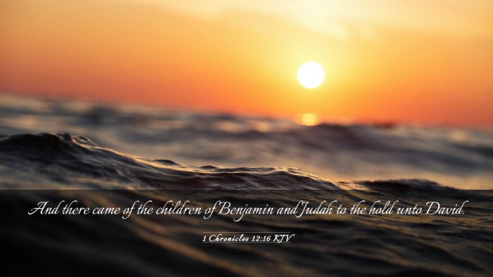 Picture 03 - 1 Chronicles 12:16 KJV Desktop Wallpaper - And there came of the children of Benjamin and - Desktop Bible Verse Wallpaper