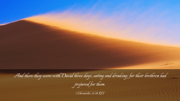 Picture 03 - 1 Chronicles 12:39 KJV Desktop Wallpaper - And there they were with David three days, eating - Desktop Bible Verse Wallpaper