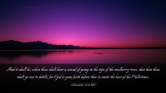 Picture 03 - 1 Chronicles 14:15 KJV Desktop Wallpaper - And it shall be, when thou shalt hear a sound of - Desktop Bible Verse Wallpaper