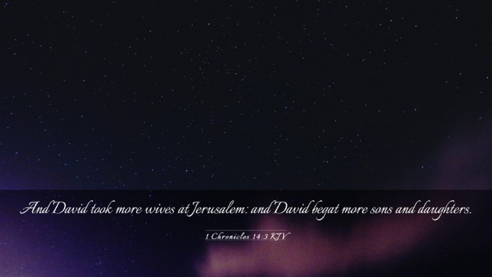Picture 03 - 1 Chronicles 14:3 KJV Desktop Wallpaper - And David took more wives at Jerusalem: and David - Desktop Bible Verse Wallpaper