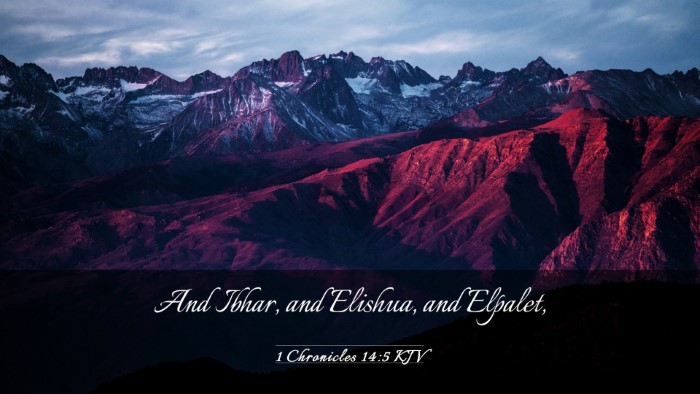 Picture 03 - 1 Chronicles 14:5 KJV Desktop Wallpaper - And Ibhar, and Elishua, and - Desktop Bible Verse Wallpaper