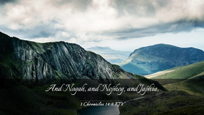 Picture 03 - 1 Chronicles 14:6 KJV Desktop Wallpaper - And Nogah, and Nepheg, and - Desktop Bible Verse Wallpaper