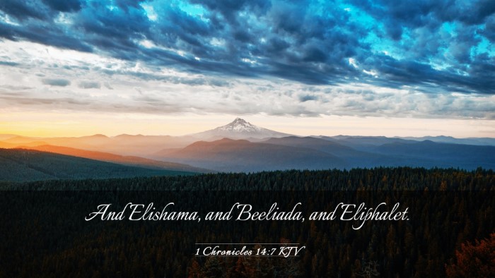 Picture 03 - 1 Chronicles 14:7 KJV Desktop Wallpaper - And Elishama, and Beeliada, and - Desktop Bible Verse Wallpaper