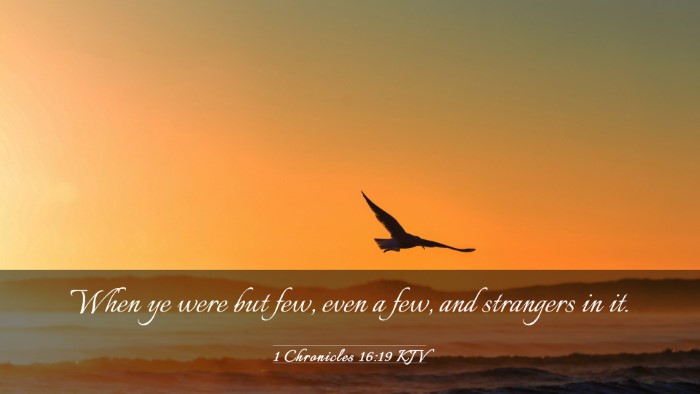 Picture 03 - 1 Chronicles 16:19 KJV Desktop Wallpaper - When ye were but few, even a few, and strangers - Desktop Bible Verse Wallpaper