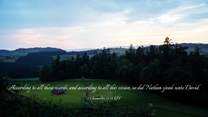 Picture 03 - 1 Chronicles 17:15 KJV Desktop Wallpaper - According to all these words, and according to - Desktop Bible Verse Wallpaper