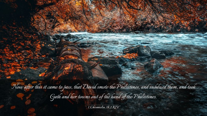 Picture 03 - 1 Chronicles 18:1 KJV Desktop Wallpaper - Now after this it came to pass, that David smote - Desktop Bible Verse Wallpaper