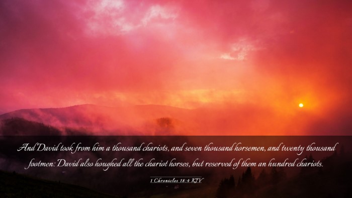 Picture 03 - 1 Chronicles 18:4 KJV Desktop Wallpaper - And David took from him a thousand chariots, and - Desktop Bible Verse Wallpaper